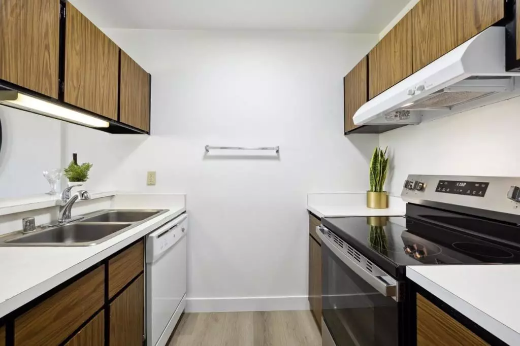 228 Kiely Blvd photo 4