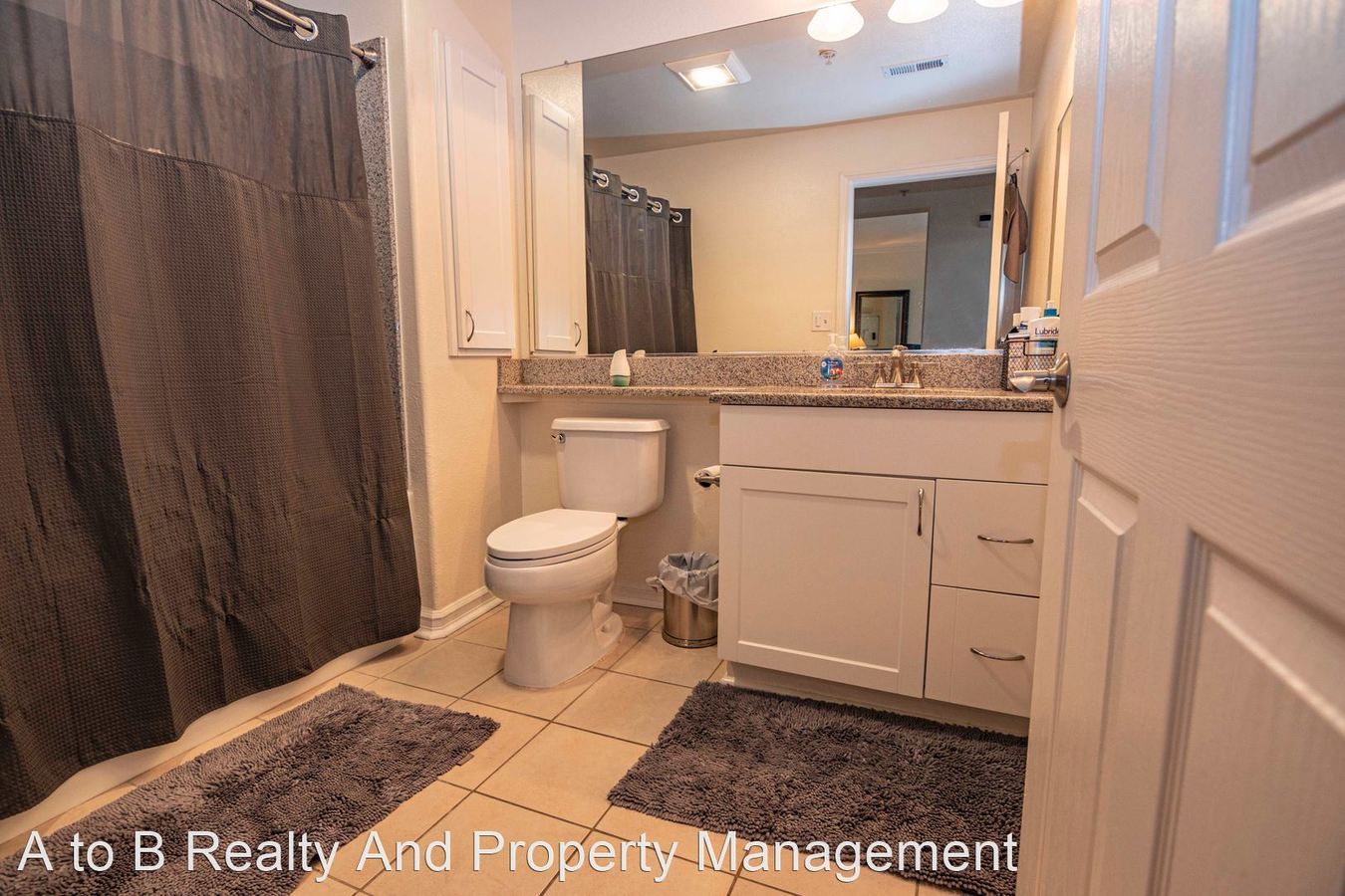 3901 Lick Mill Blvd #251 photo 3