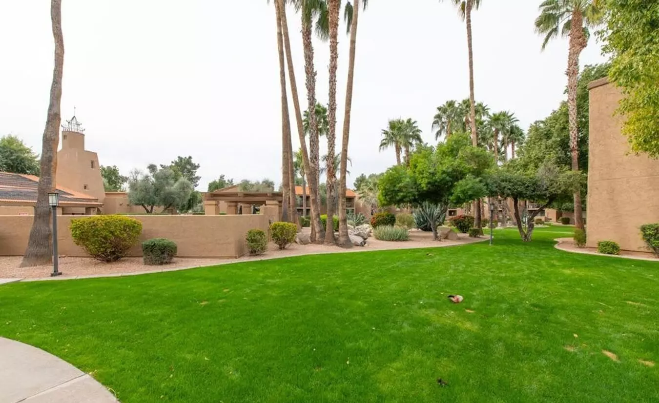 8256 E Arabian Trail Scottsdale, AZ 85258 photo 5