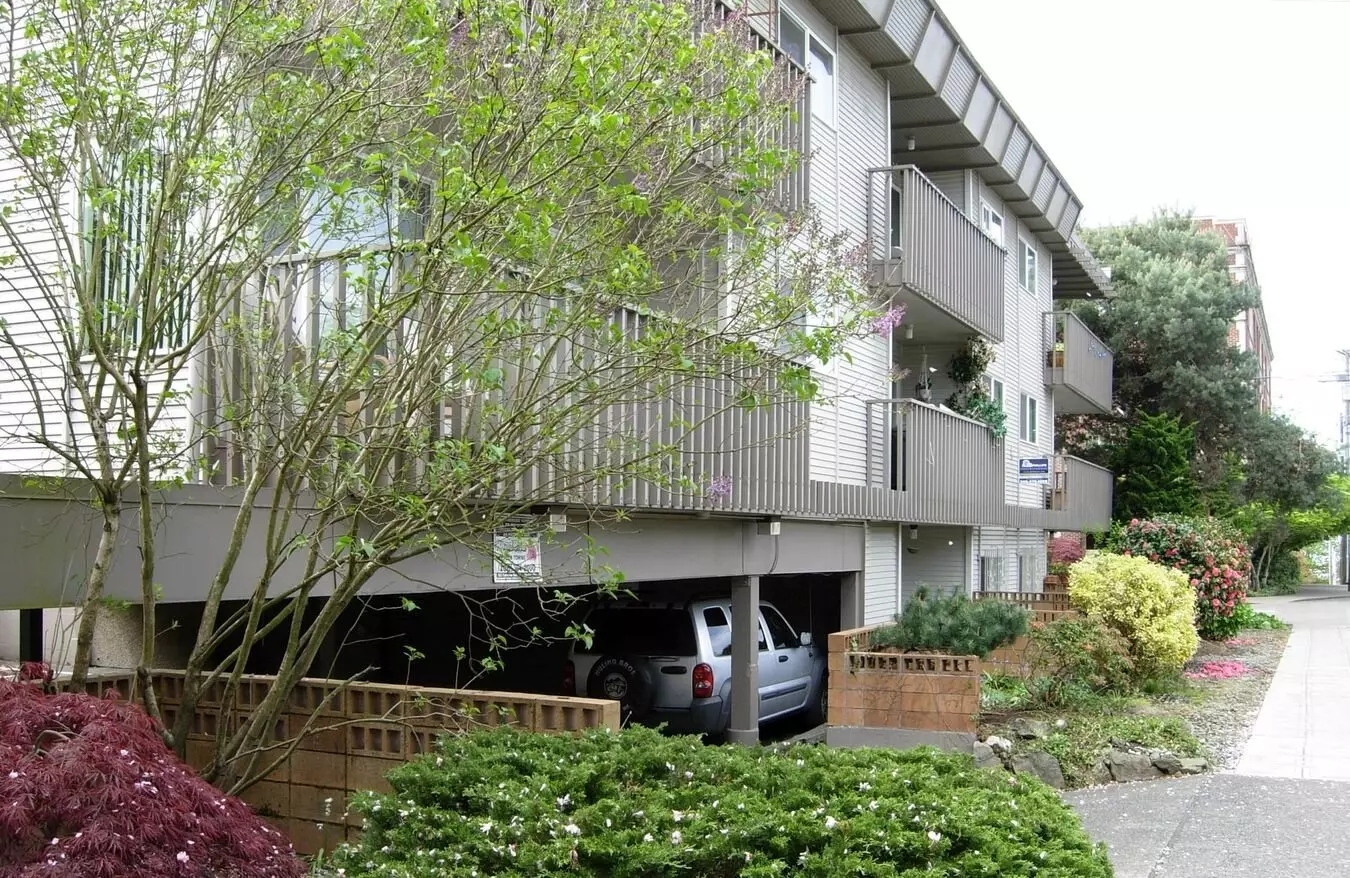 Golden Inca - Newly Renovated Capitol Hill Studio Apartment W/ Modern Finishes photo 5