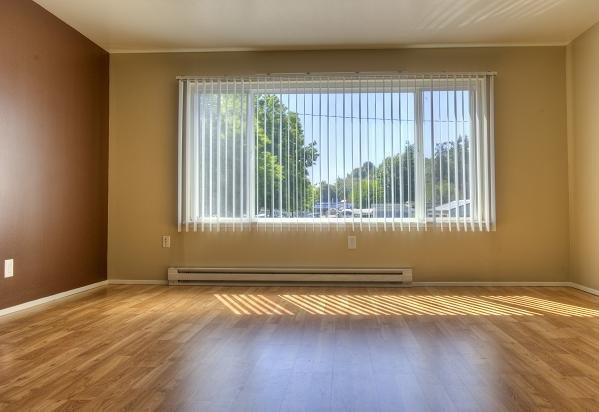 Awesome Upper Floor 1bed 1bth Minutes to Mt. Baker Light Rail photo 4
