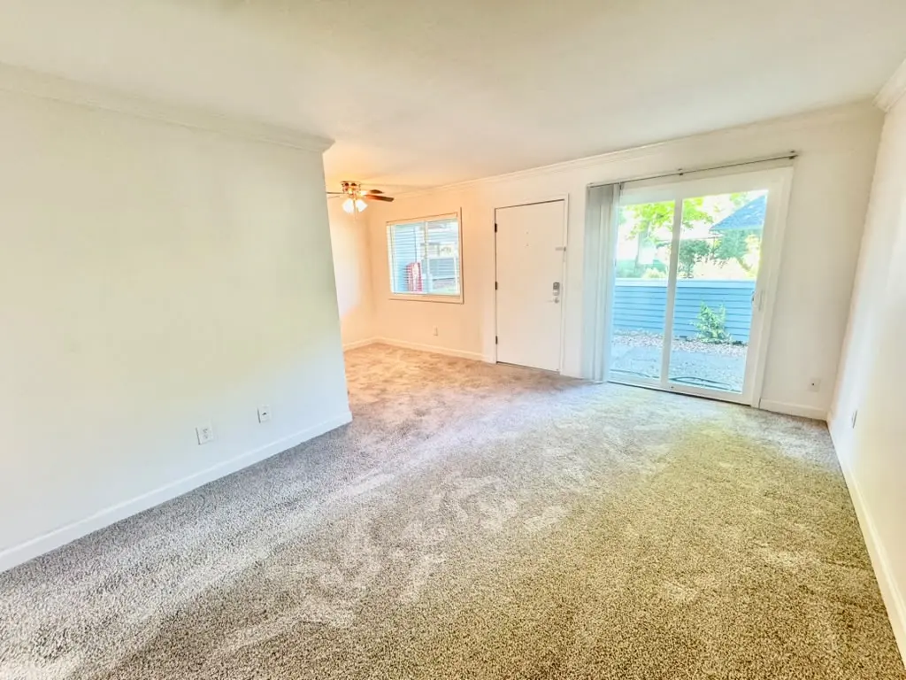 356 Robinson St photo 5