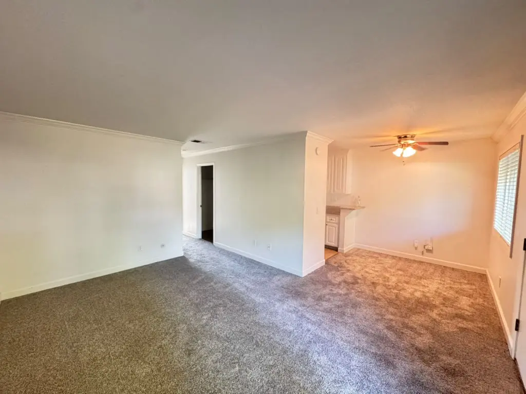 356 Robinson St photo 4
