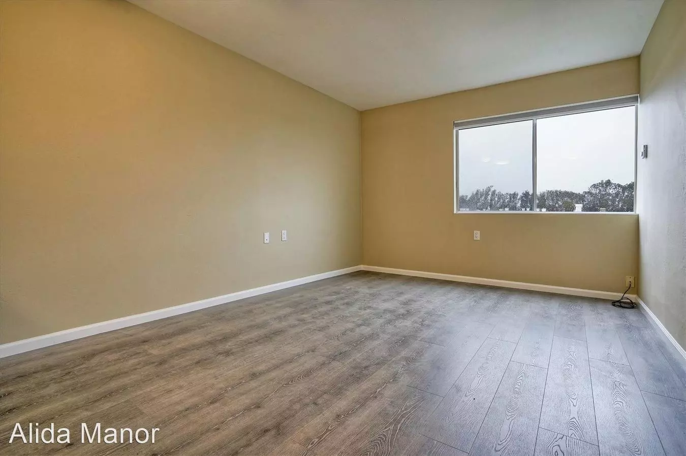 Alida Manor Apartments photo 3