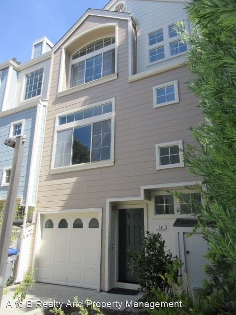 979 Pinto Palm TER 37 photo 2
