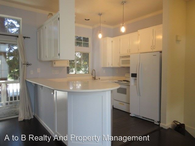 979 Pinto Palm TER 37 photo 3