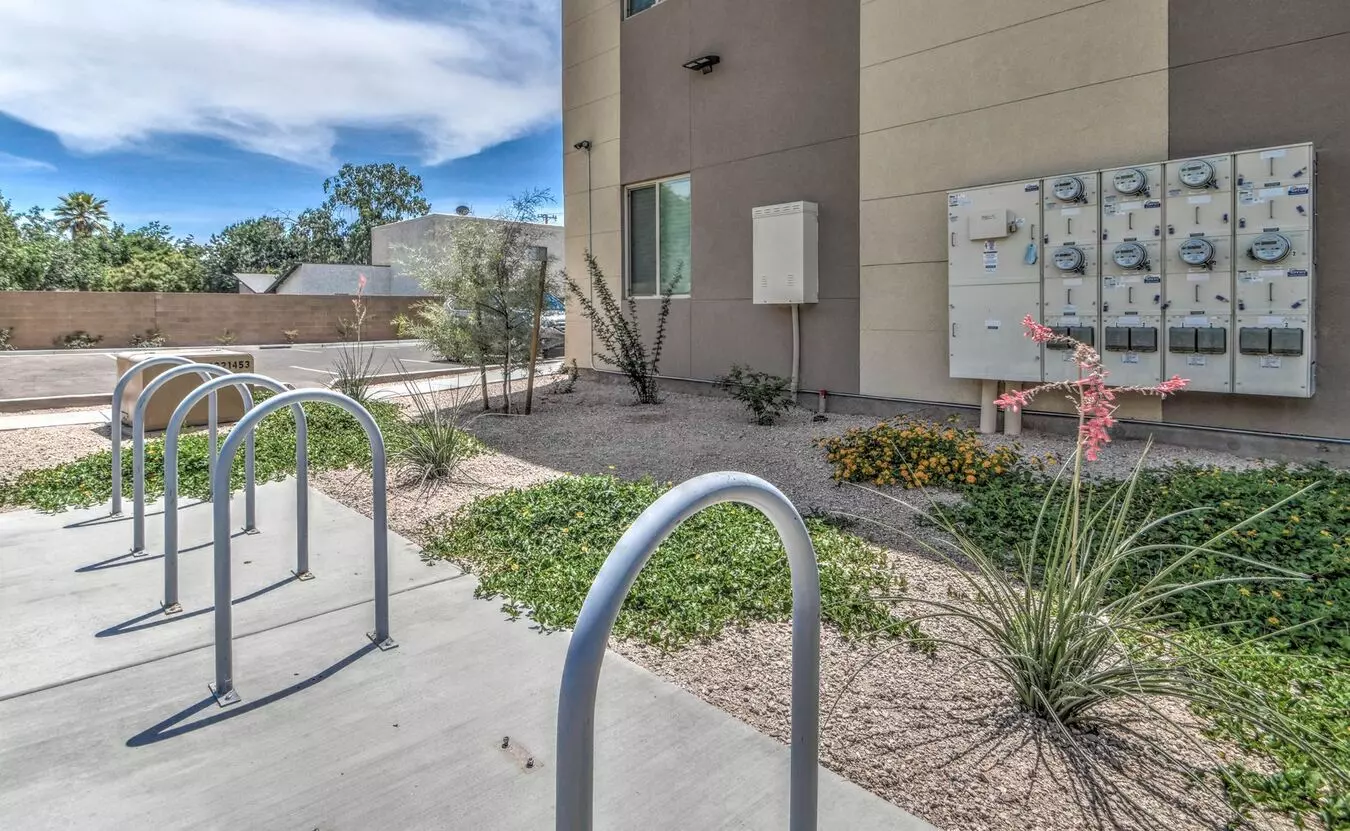 1037 S Farmer Ave Tempe, AZ 85281 photo 4
