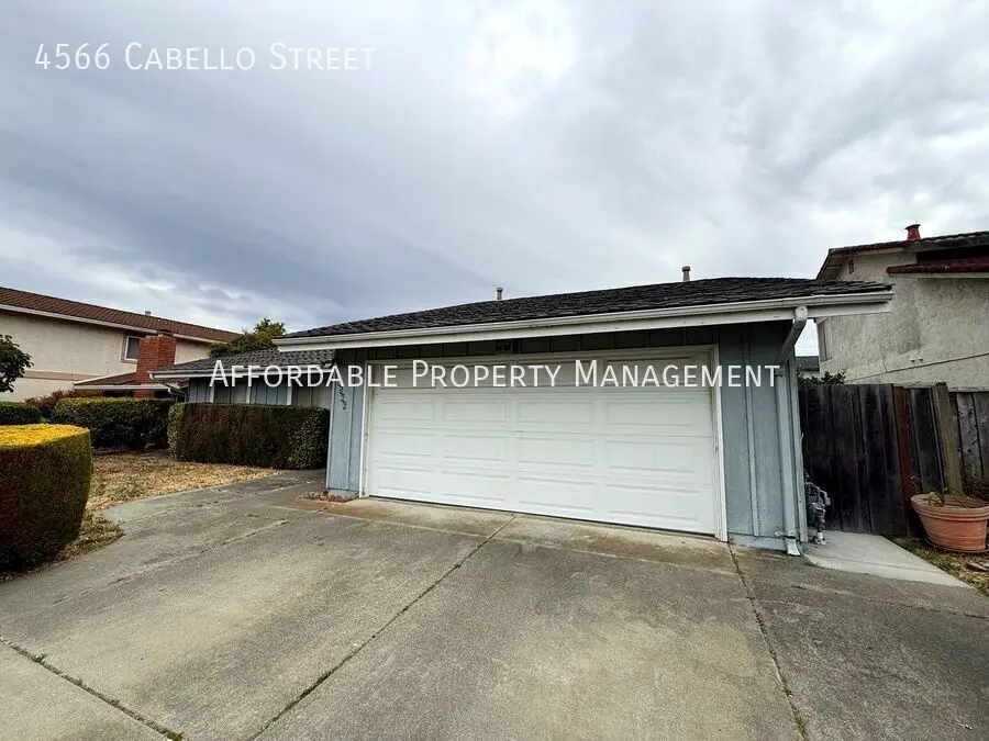 4566 Cabello St photo 2