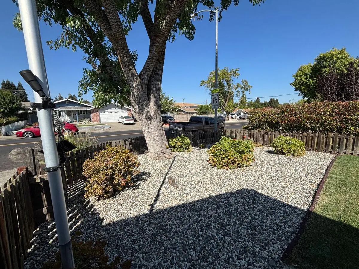 Charming 3br/1ba In Vacaville – Beautifully Maintained With Lush Yards &amp; Bonus Shed! photo 4