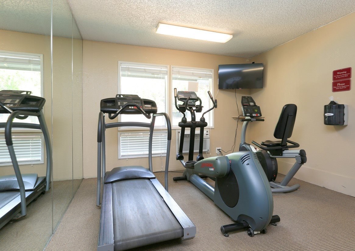 Shasta Terrace photo 2