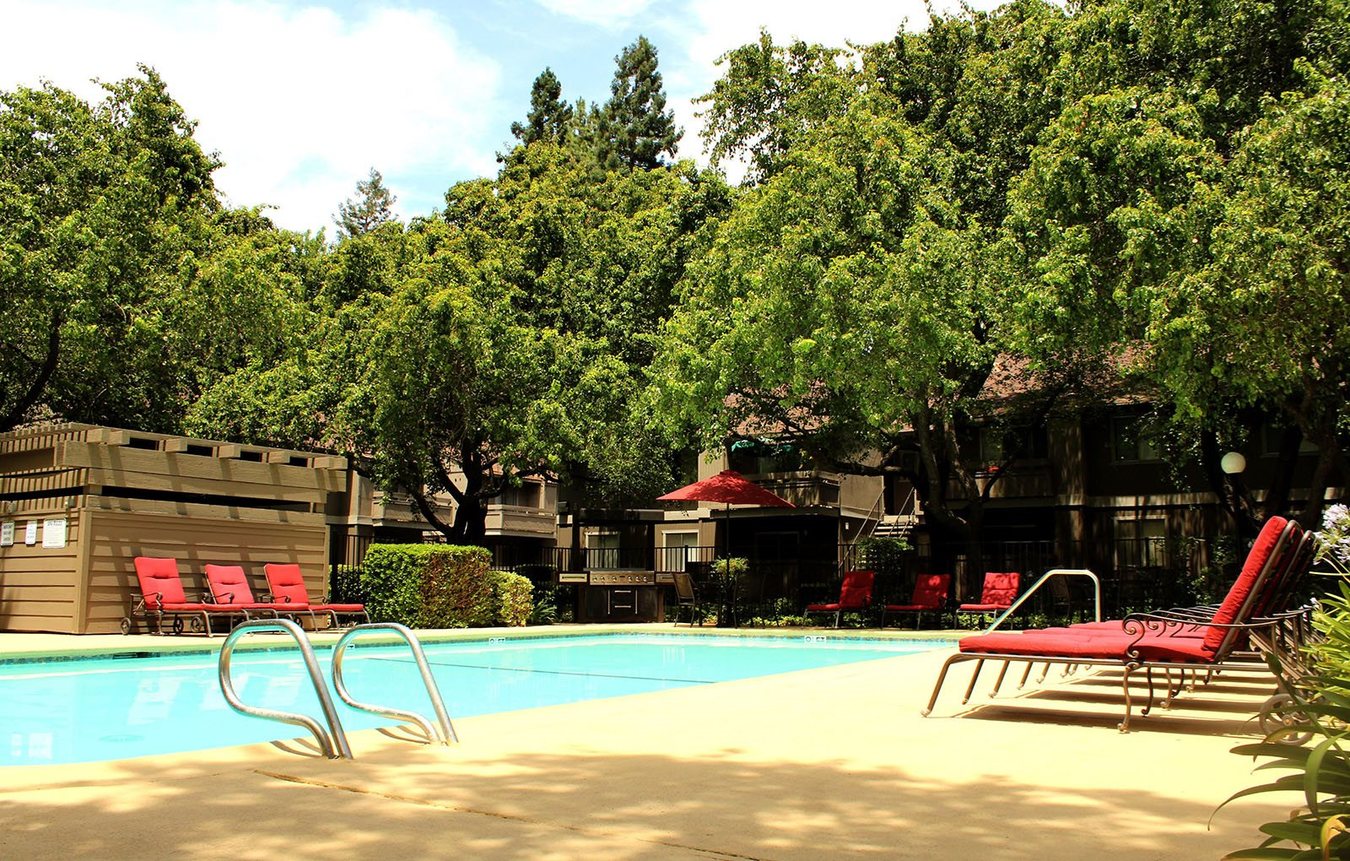 Shasta Terrace photo 4