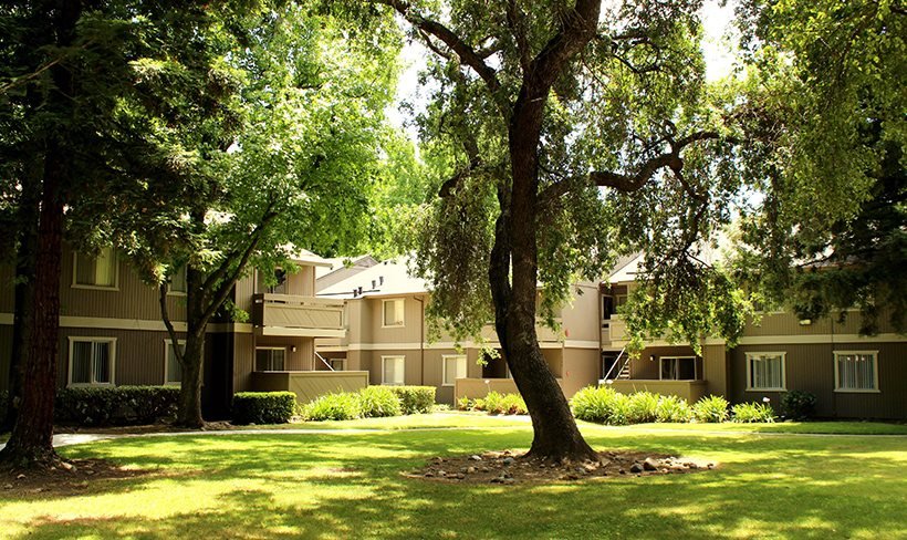 Shasta Terrace photo 3