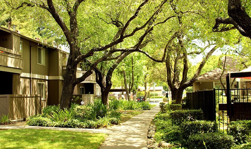 Shasta Terrace photo 5