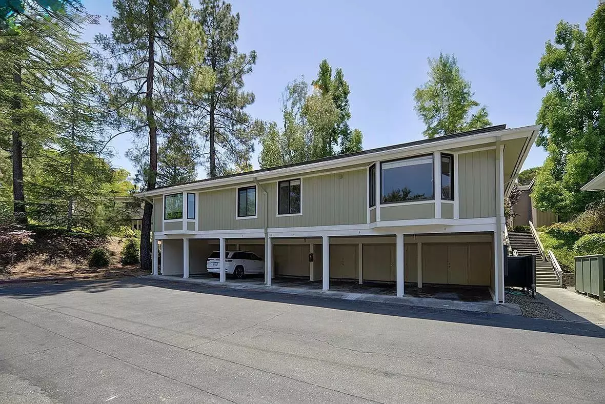 Peaceful Treehouse Retreat In Rossmoor photo 5