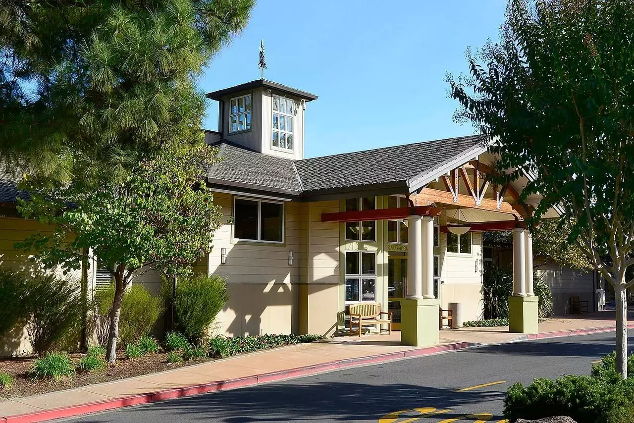 Peaceful Treehouse Retreat In Rossmoor photo 4