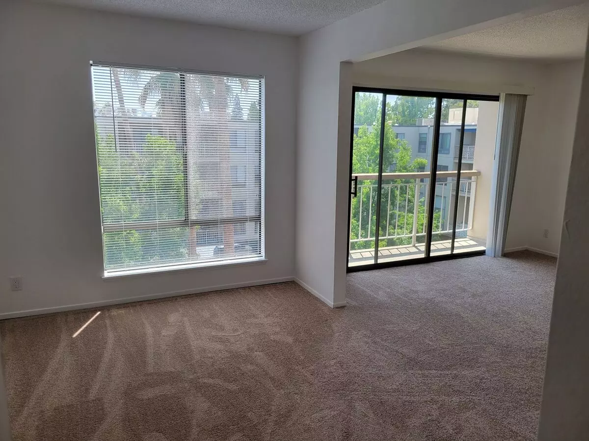 Super Light And Bright Junior 1 Bedroom In The Keys photo 3
