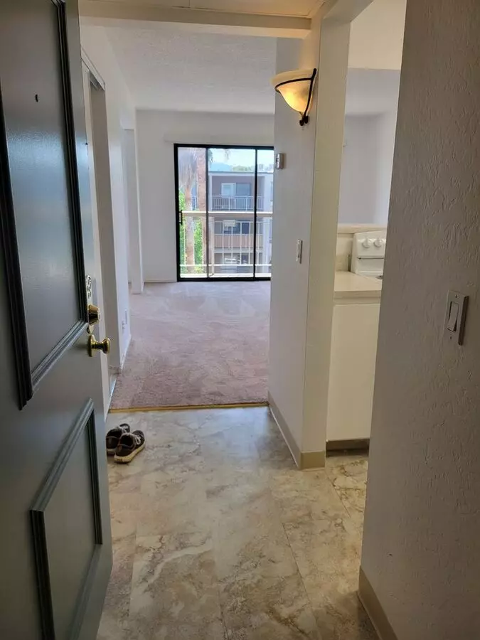 Super Light And Bright Junior 1 Bedroom In The Keys photo 4