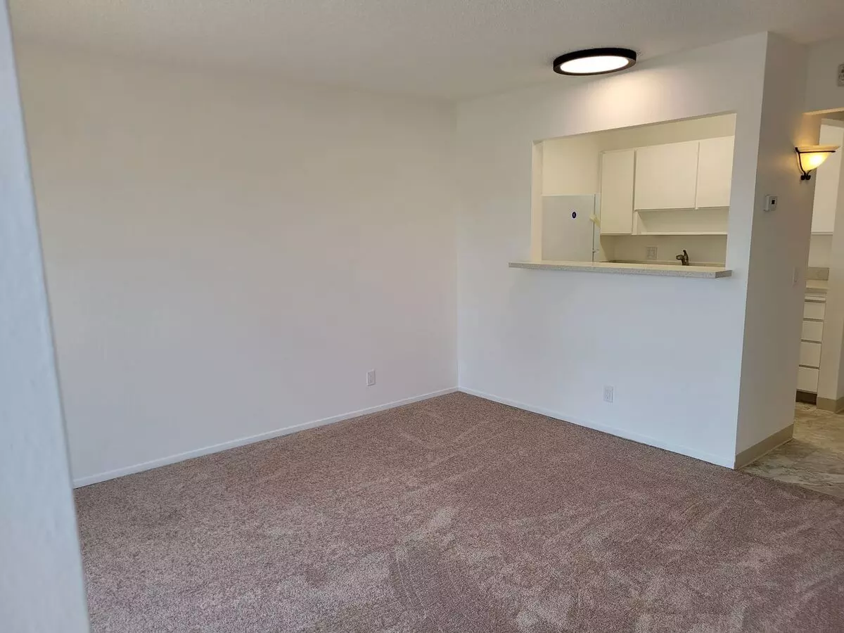 Super Light And Bright Junior 1 Bedroom In The Keys photo 5