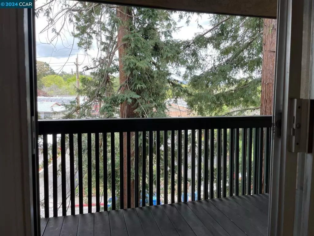 Walnut Creek 1 Bedroom photo 5