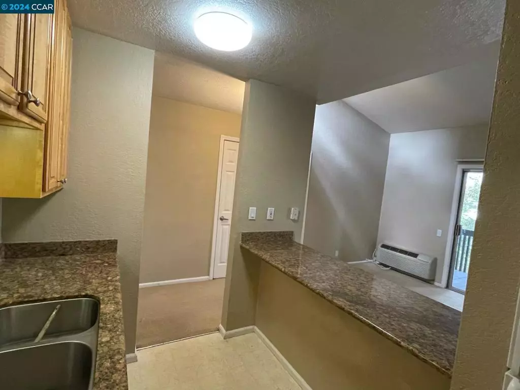Walnut Creek 1 Bedroom photo 4