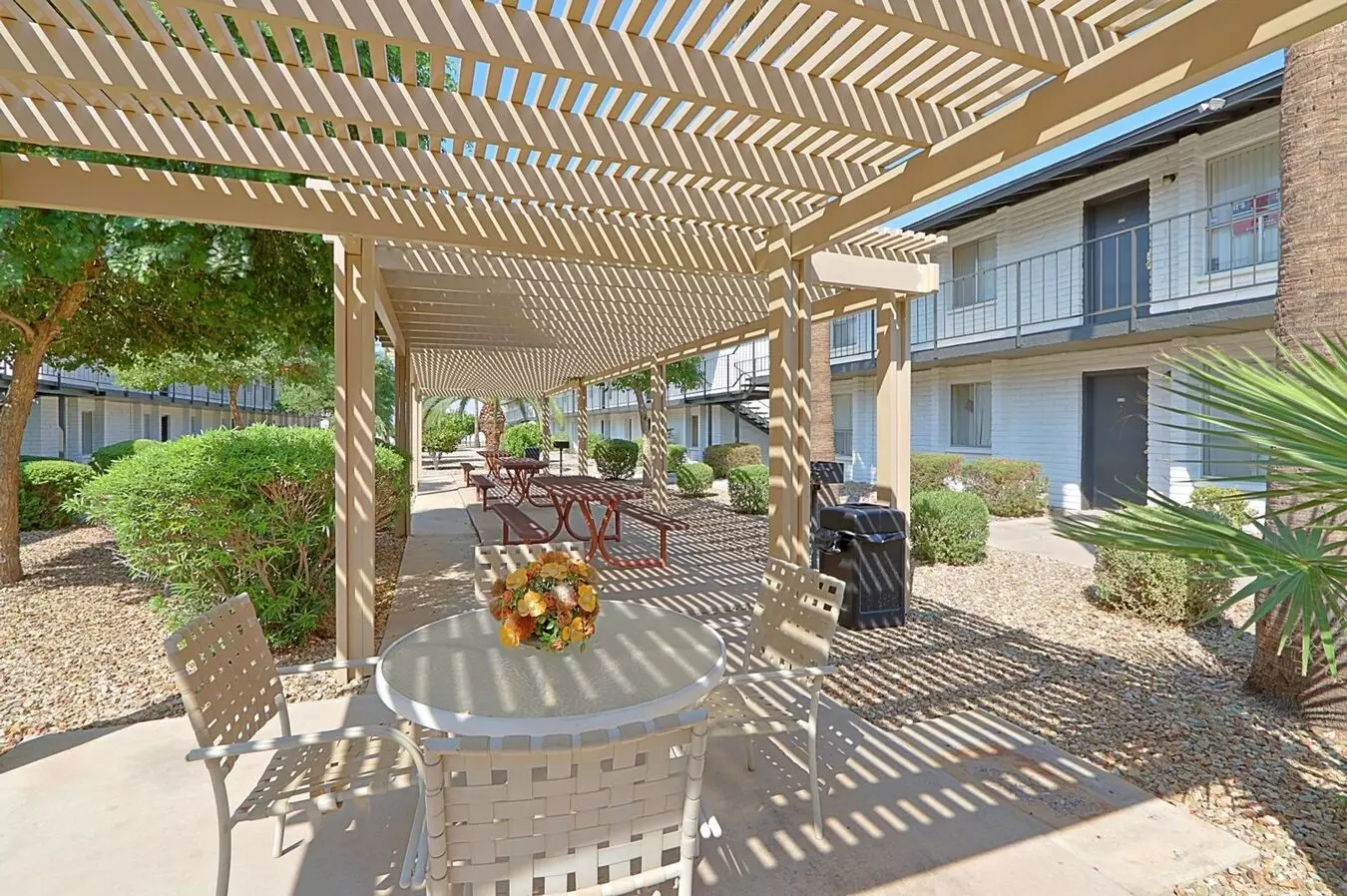 North Edge Apartments photo 3