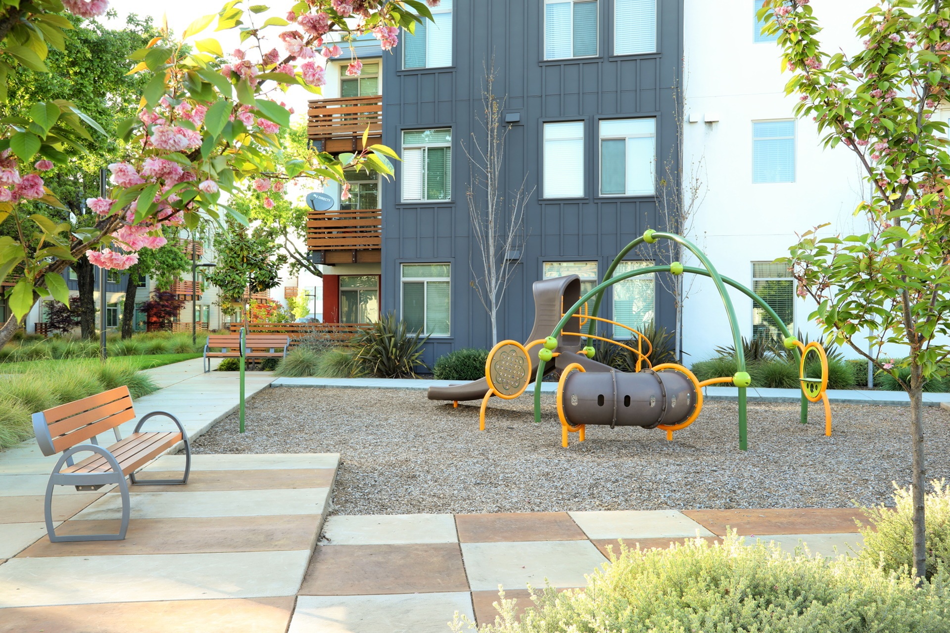 Annadel photo 5
