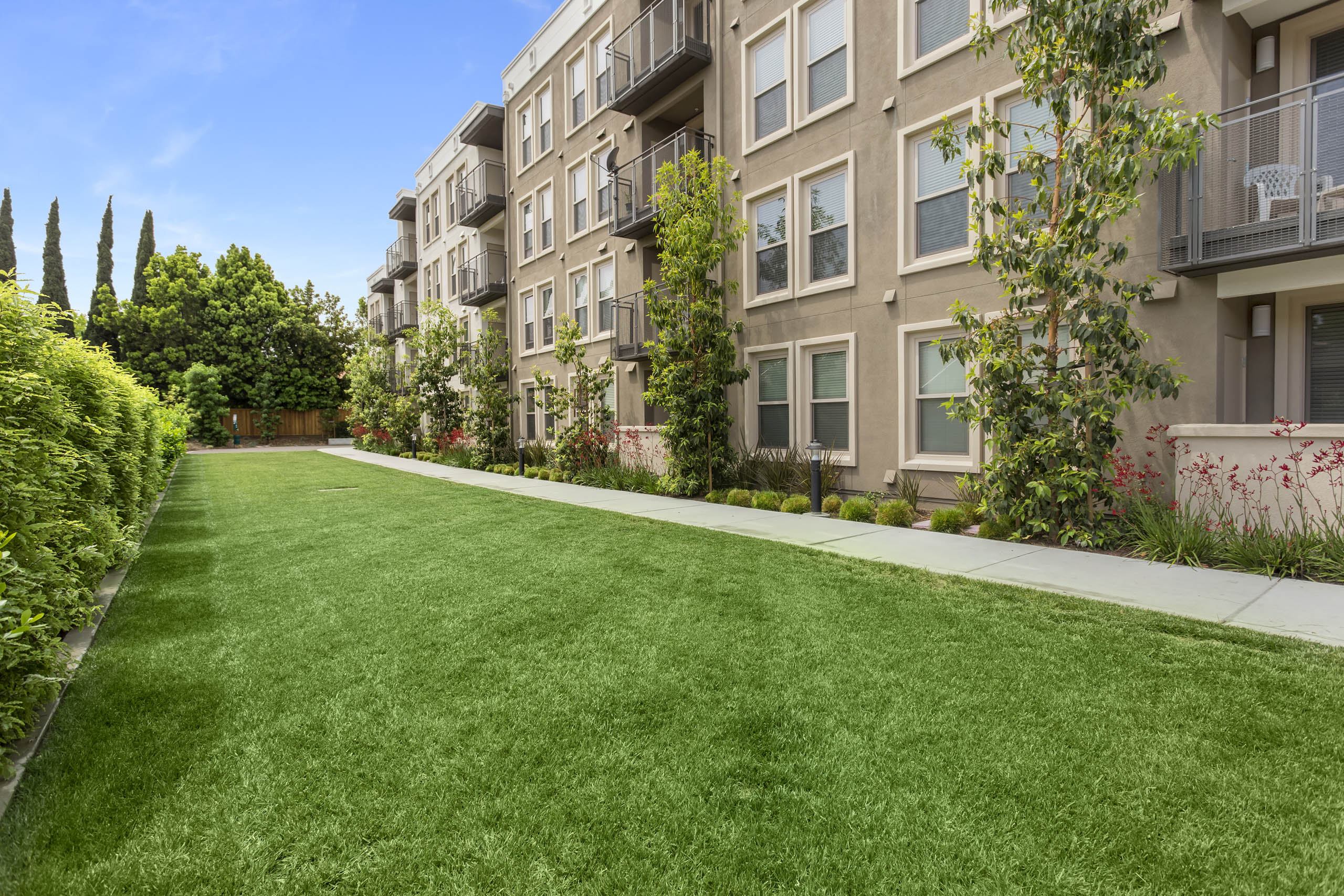 mResidences Redwood City photo 5