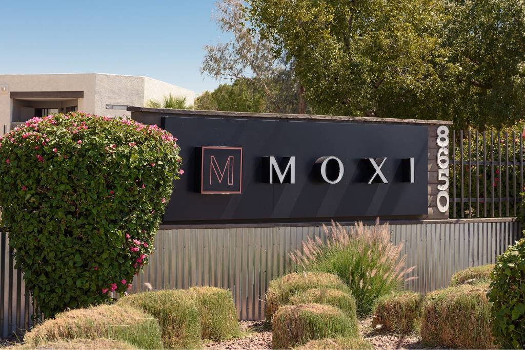 Moxi photo 5