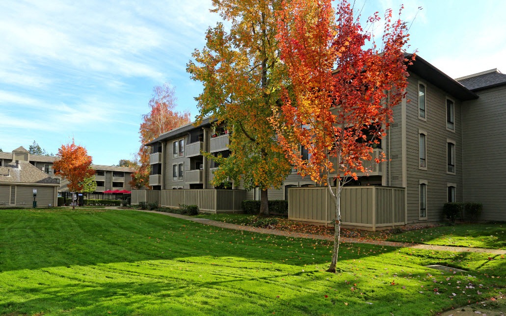 Muirwood photo 3