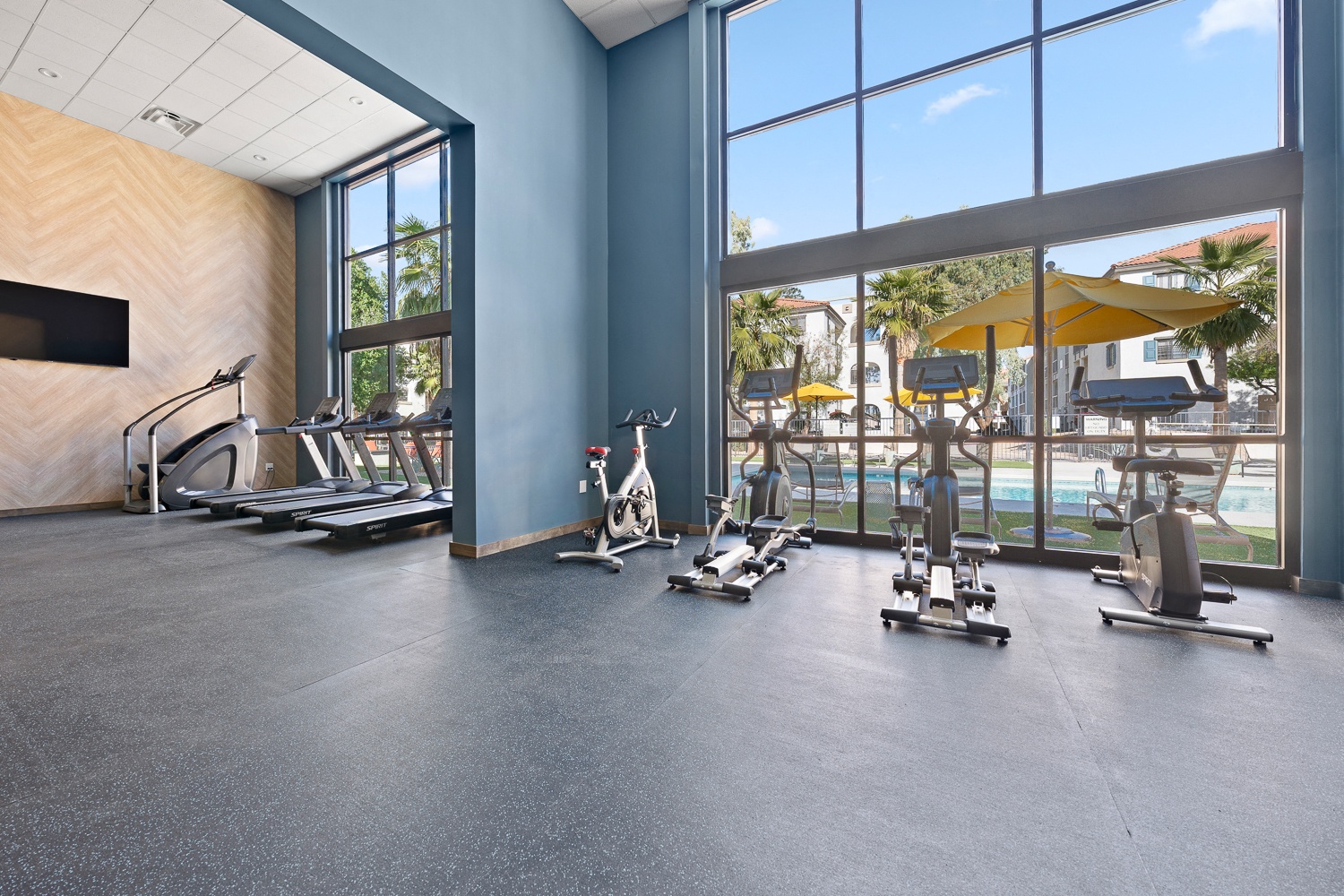 Solas Glendale photo 2