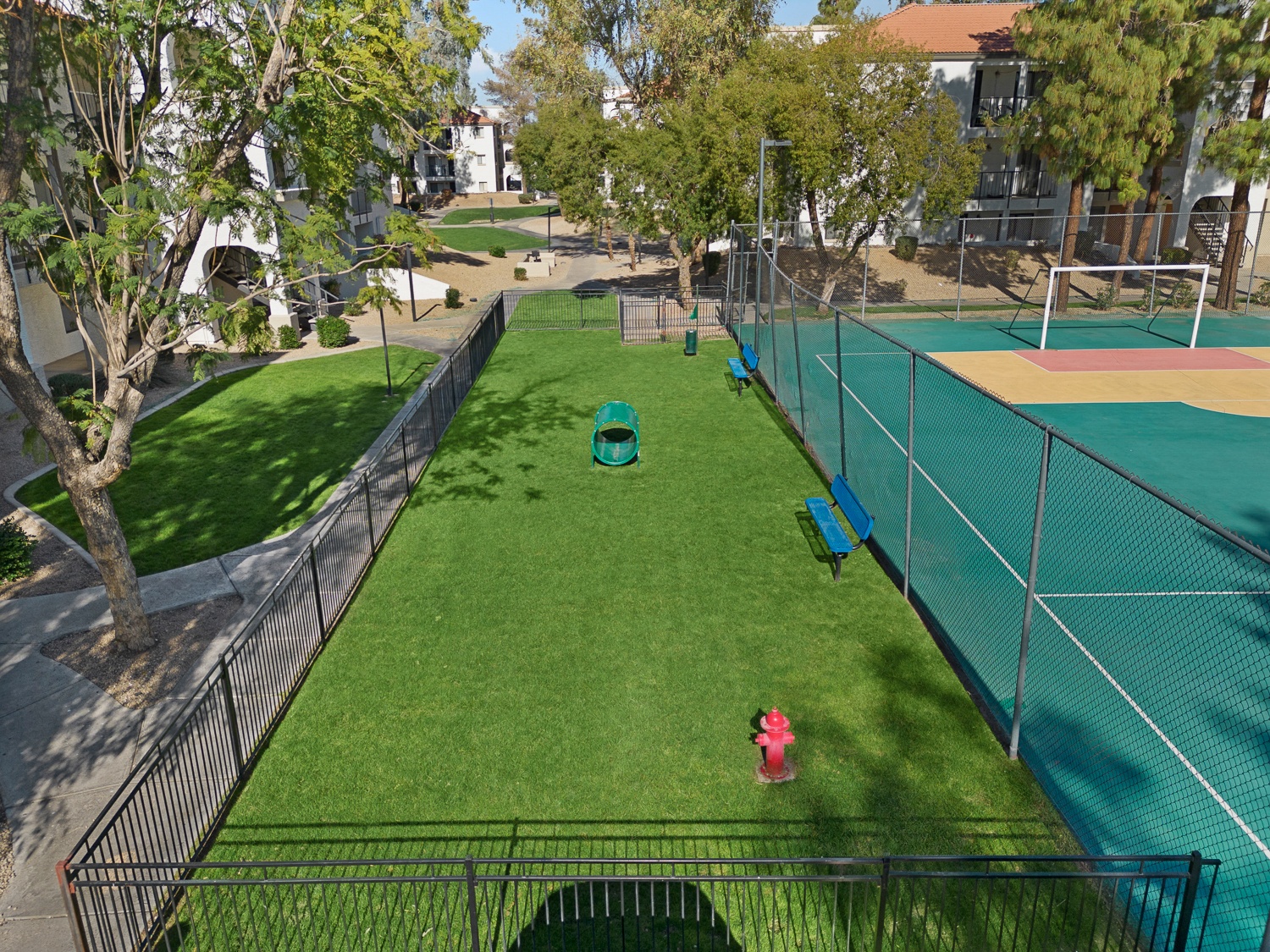 Solas Glendale photo 3