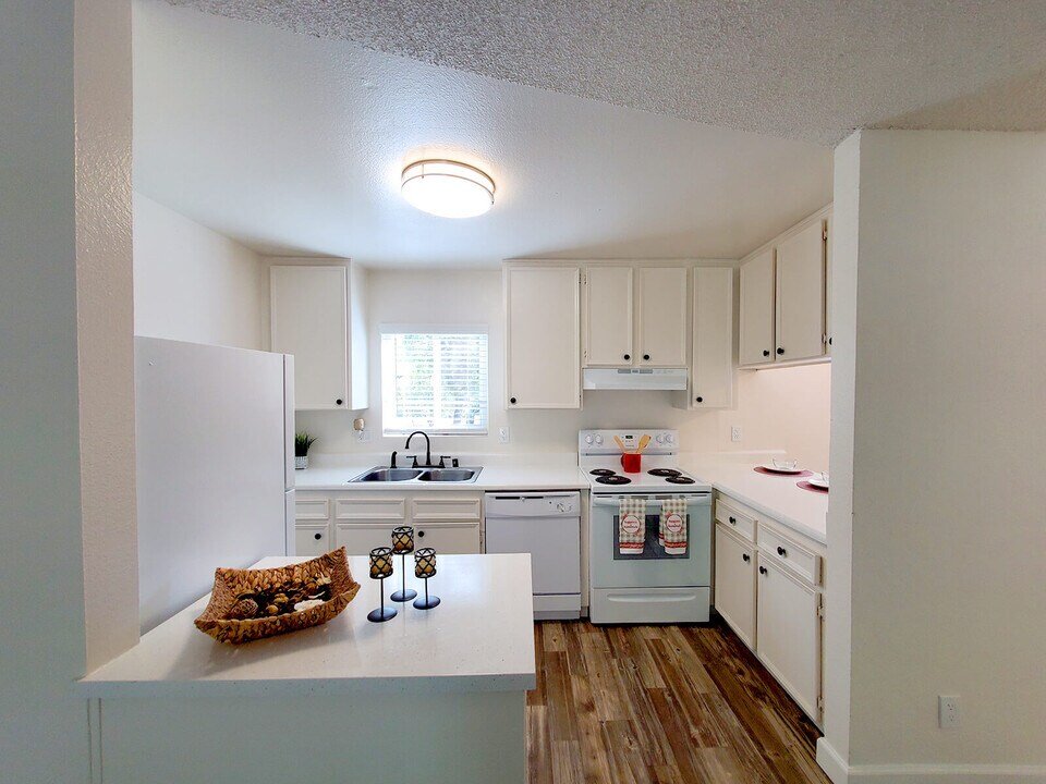 Alpine Terrace Apartments photo 2