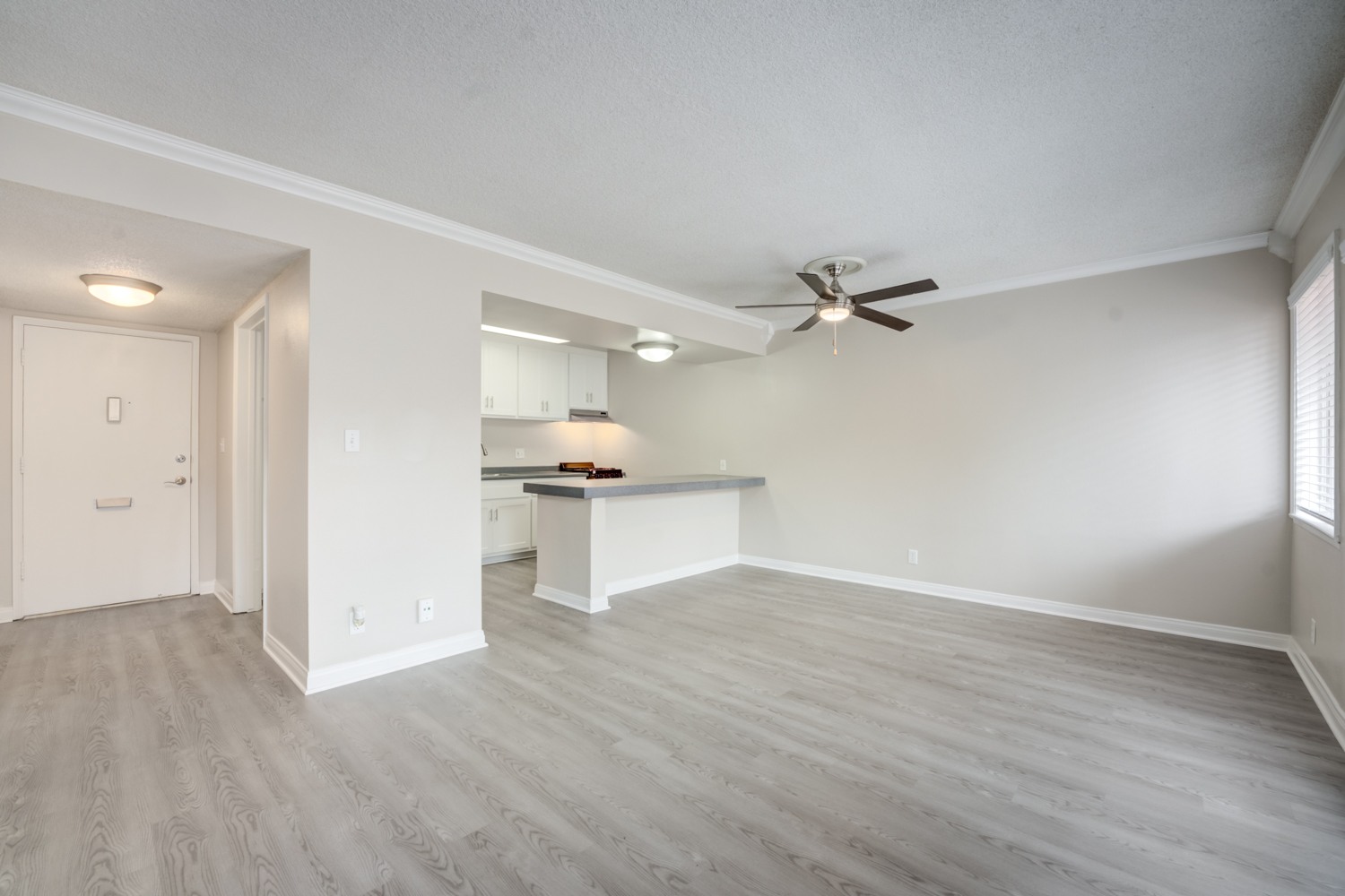 The Village Apartments photo 5