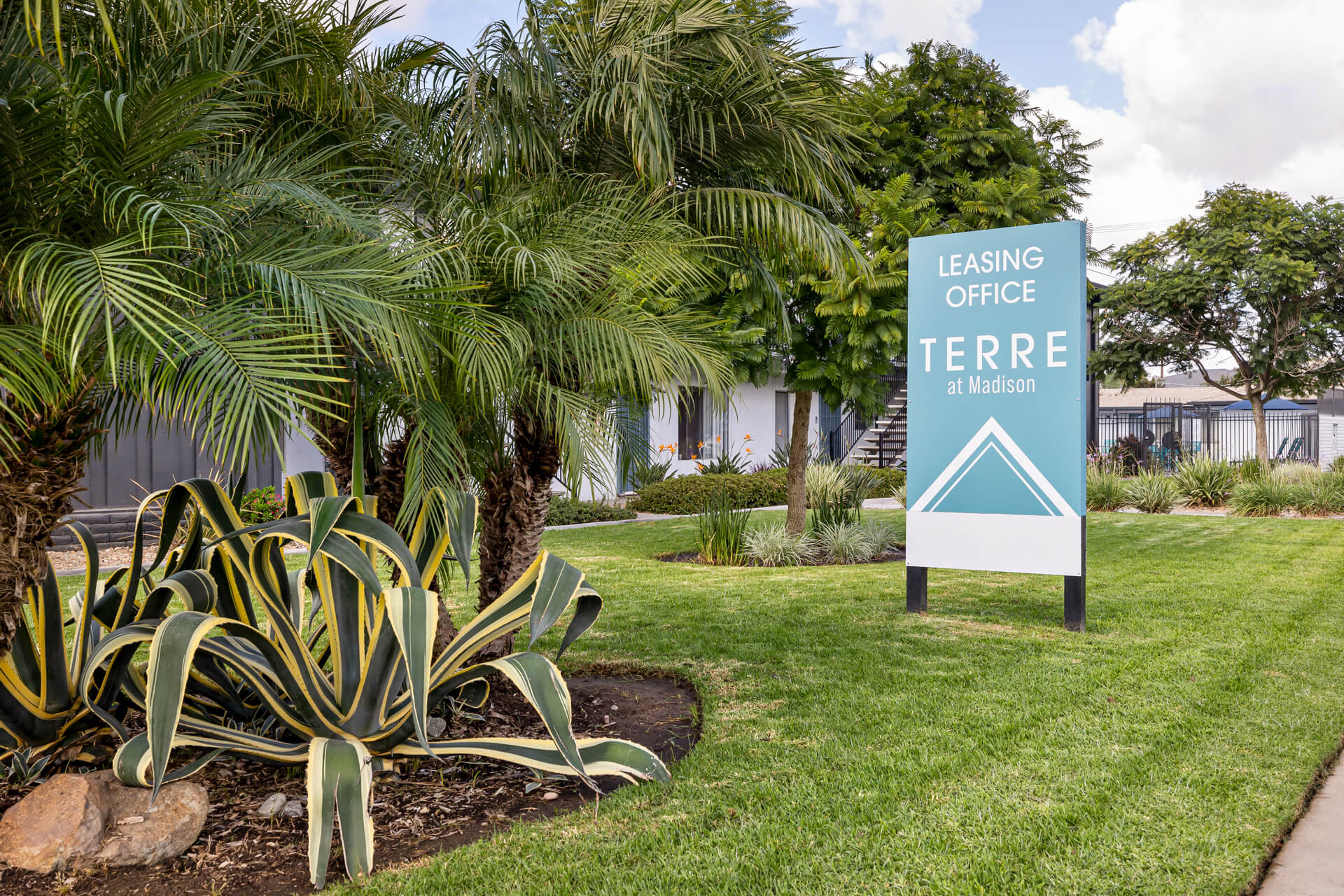 Terre at Madison photo 4