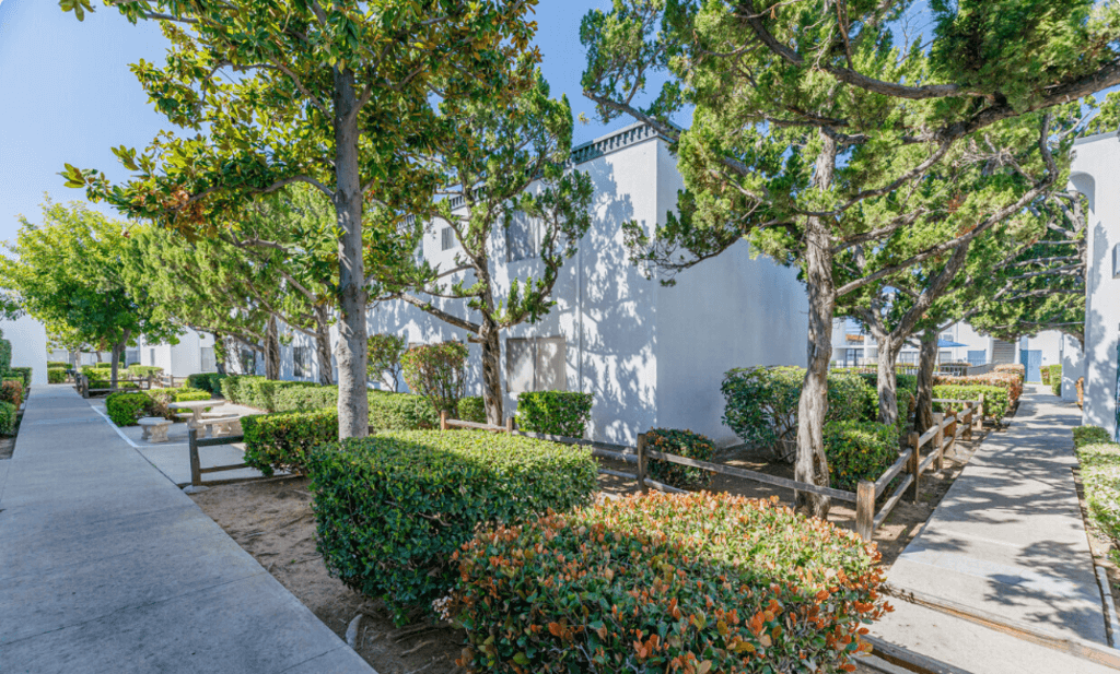 The Arches Apartments photo 5