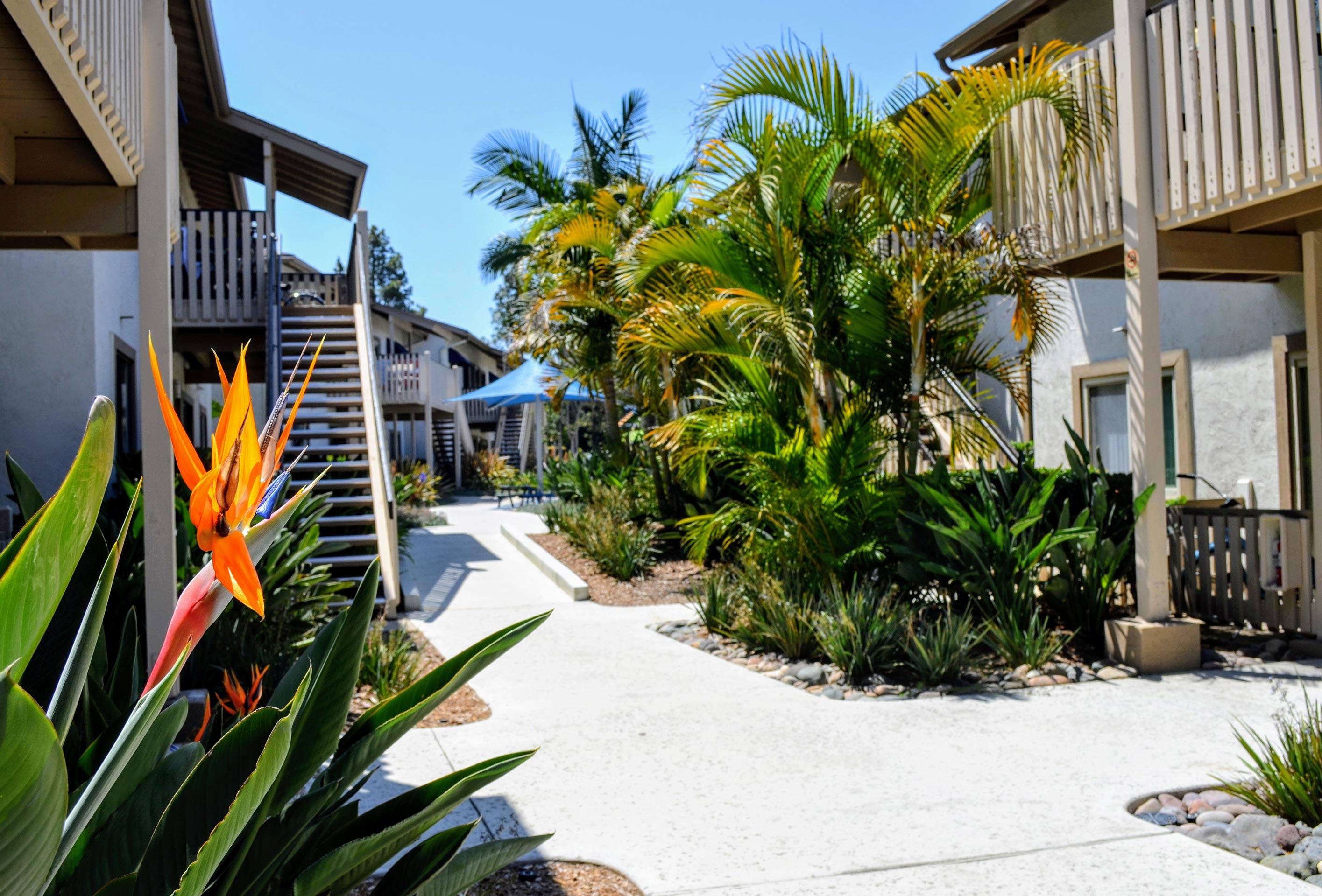 La Jolla Canyon Apartments photo 3