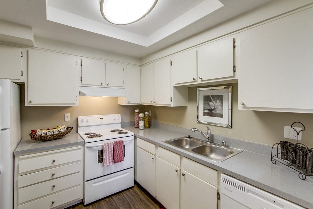 Mesa Village Apartments photo 2