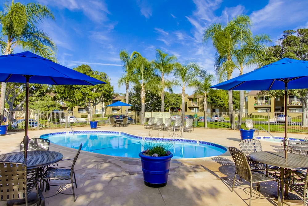 Mesa Village Apartments photo 4
