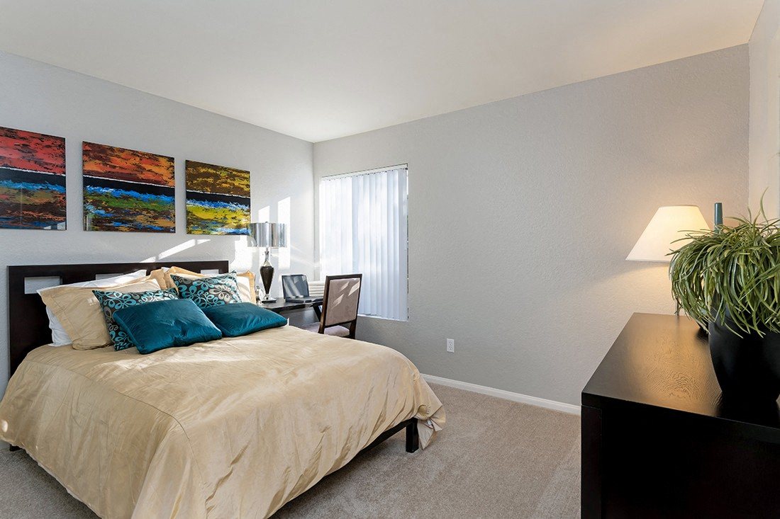 The Casas photo 3