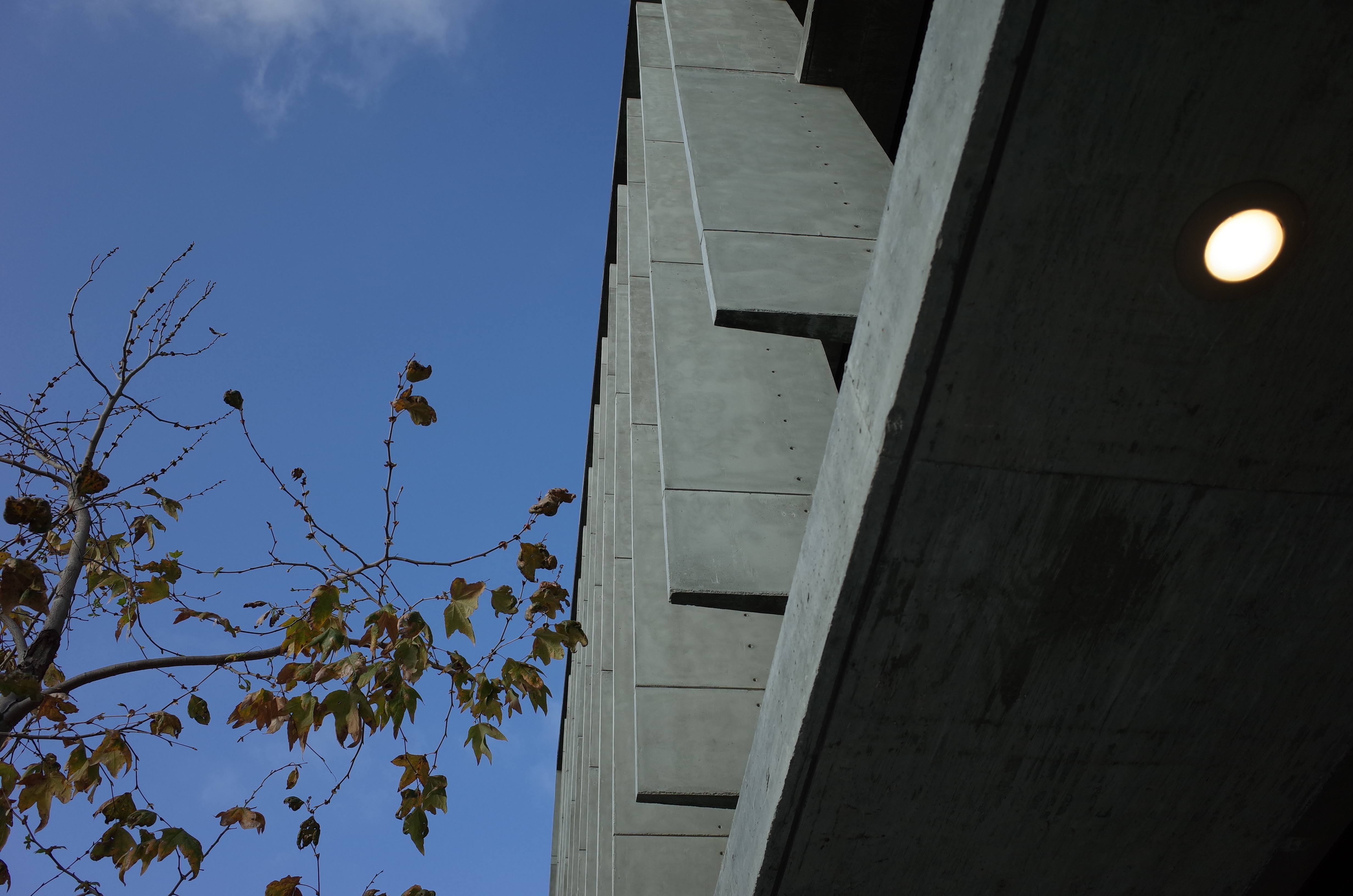 The Park Apartments photo 5