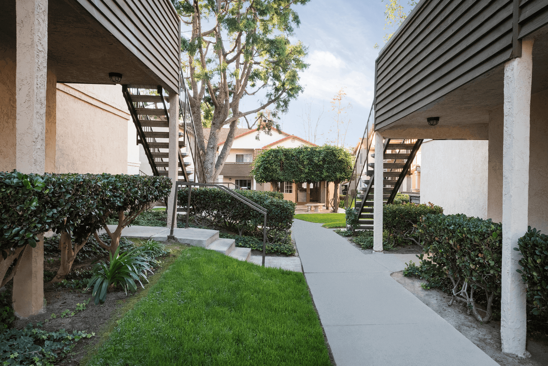Elan Shadowridge Meadows photo 4