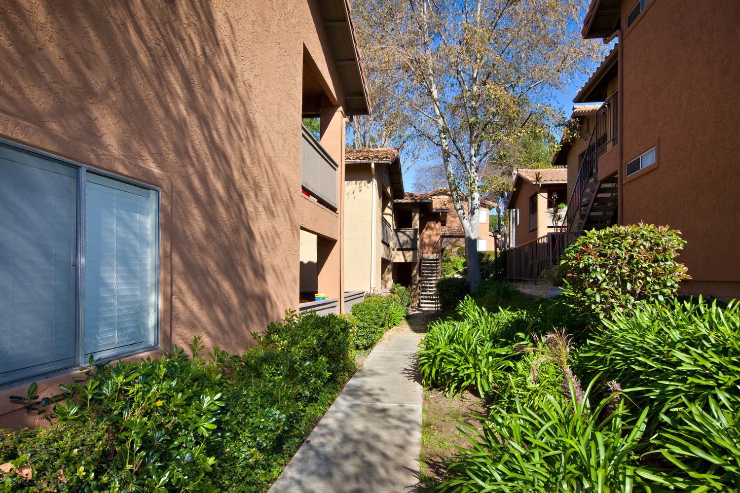 Elan Vista Alta photo 3