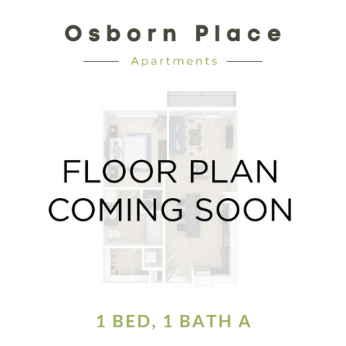 1 Bed - 1 Bath A 27 27 floor plan