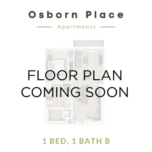 1 Bed - 1 Bath B 13 13 floor plan