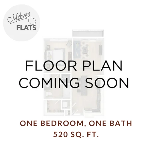 One Bedroom/One Bathroom 11 11 floor plan