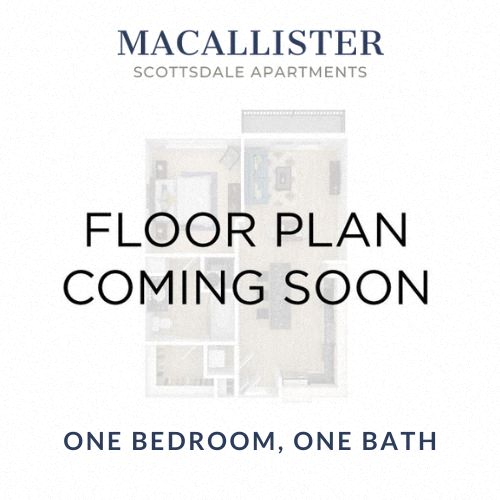 One Bed One Bath 2006 2006 floor plan