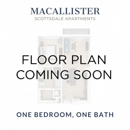 One Bed One Bath 1011 1011 floor plan