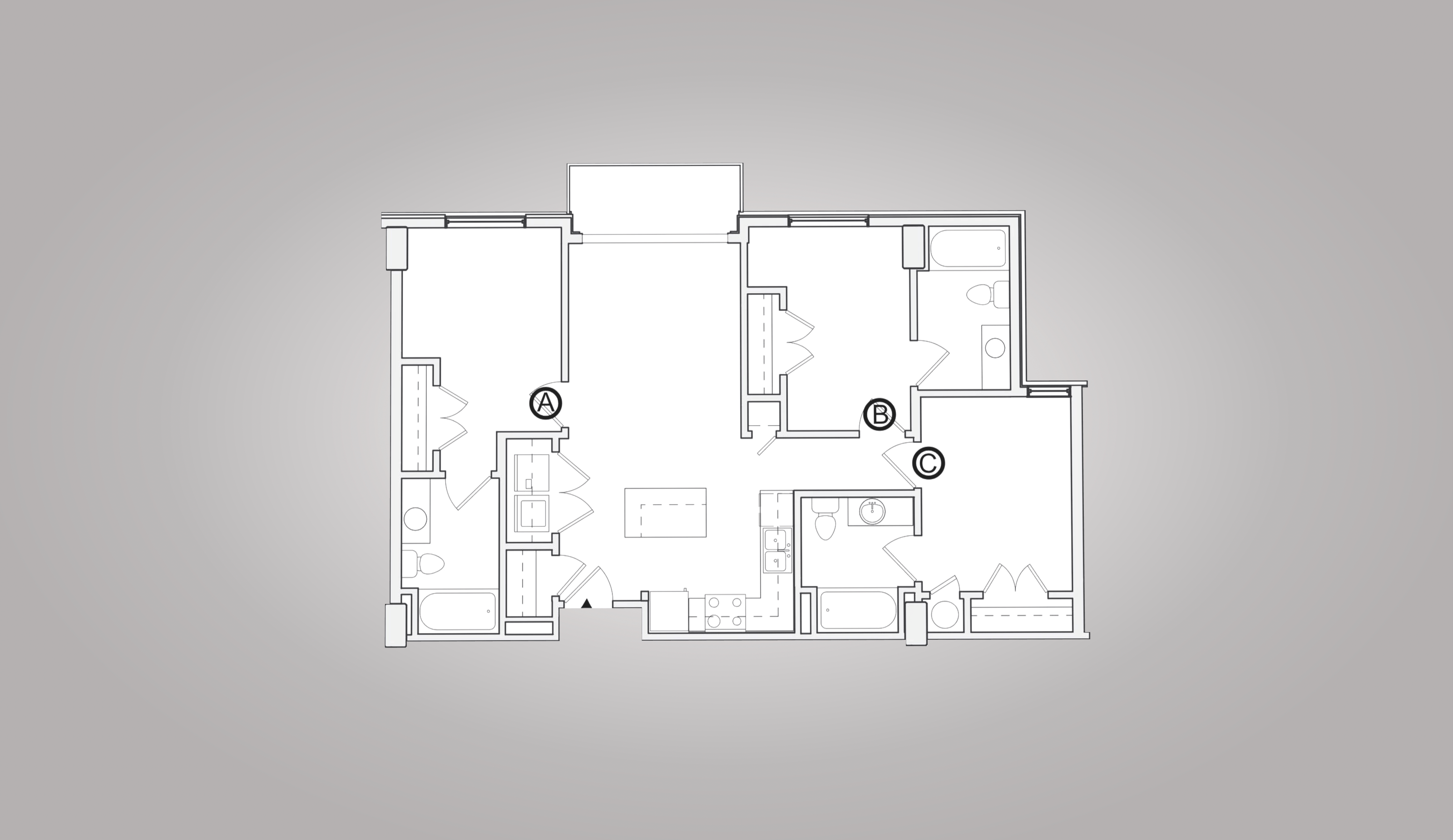 C1 244 244 floor plan