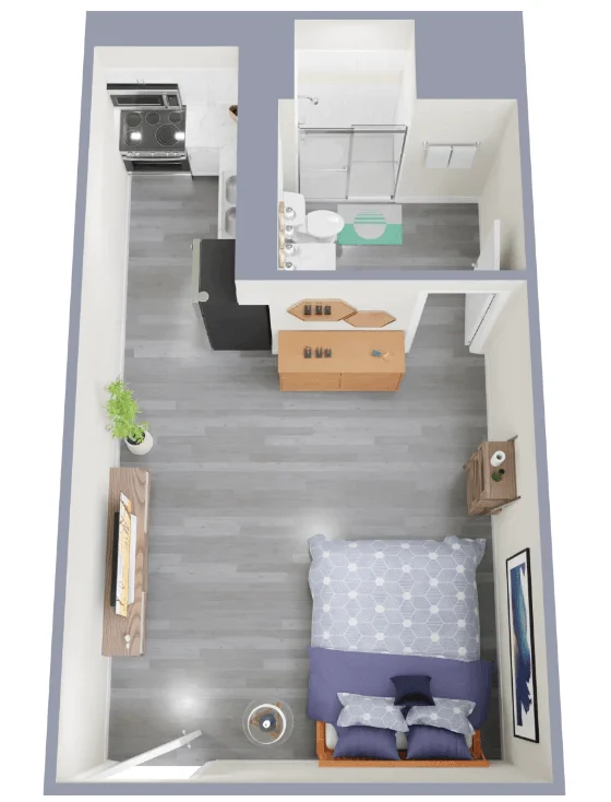 Studio 243 243 floor plan