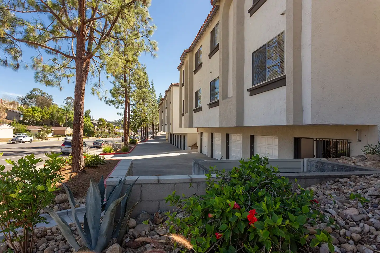 Jackson 23 Apartments photo 3